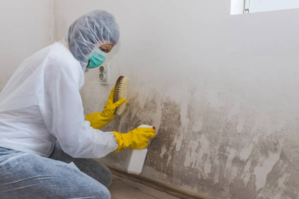 Best Bathroom Mold Remediation in Prague, OK