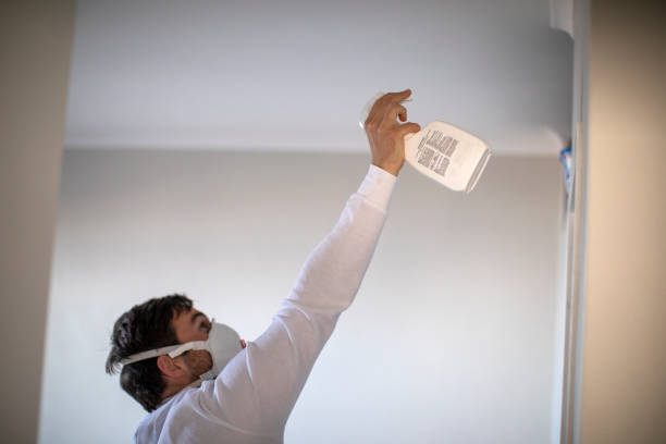 Best Insurance-Related Mold Remediation in Prague, OK