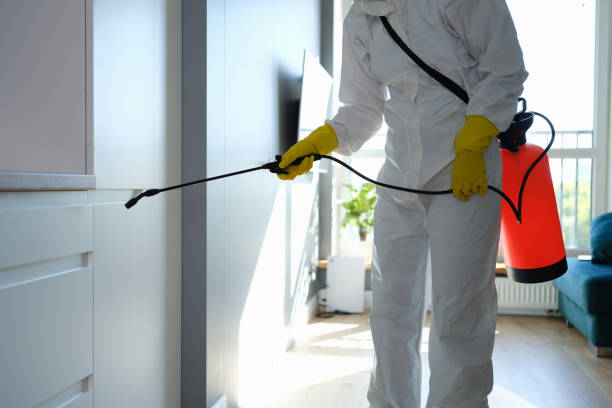 Prague, OK Mold Remediation Company