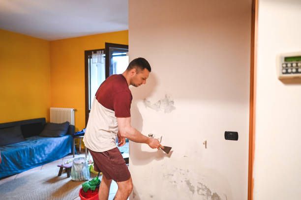 Best Mold Remediation for Schools in Prague, OK